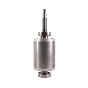 Rotor Rodamientos 6205 Electrobomba 80Wq2.2-4P