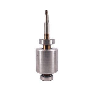 Rotor Rodamientos 6203-2Ls 6204-2Ls Electrobomba Hs10-10-0.75